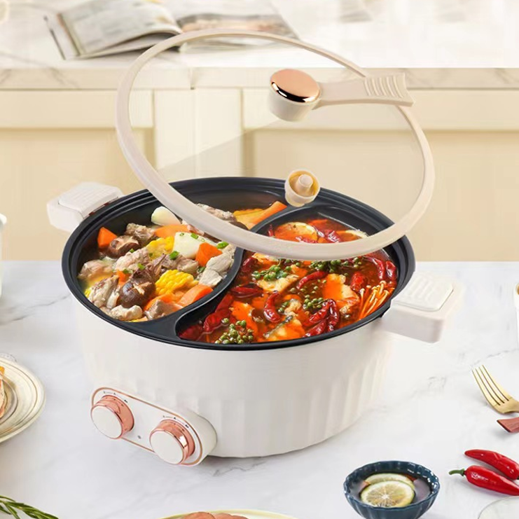 Electric Hot Pot with Dual Temperature Control