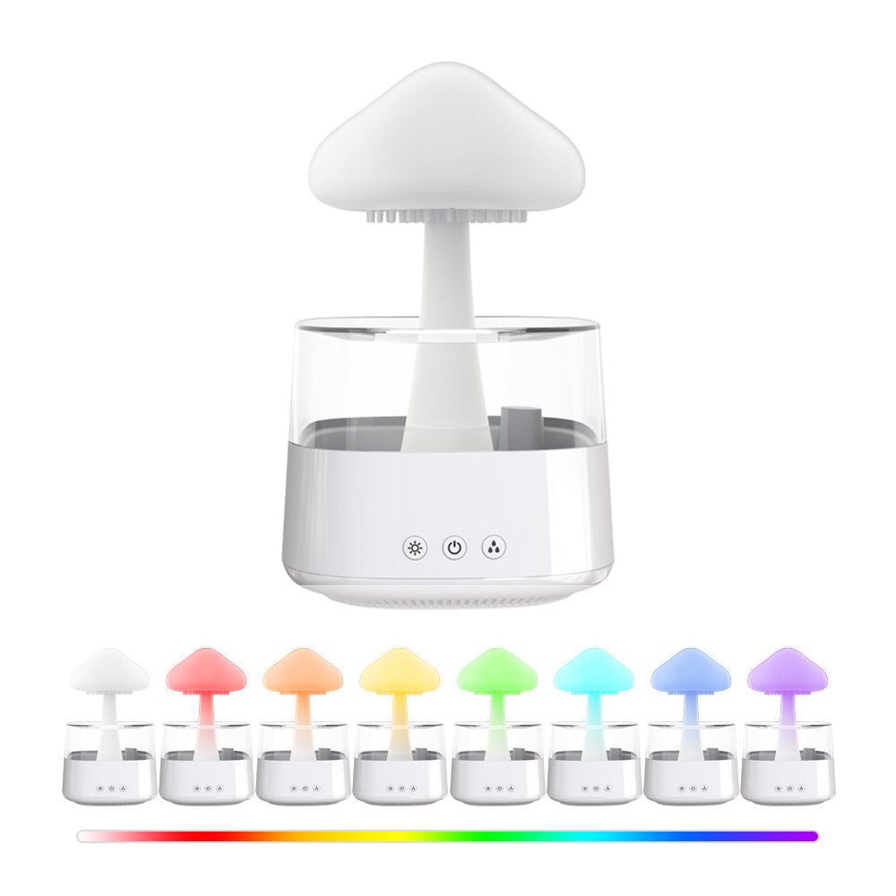 Rain Cloud Humidifier